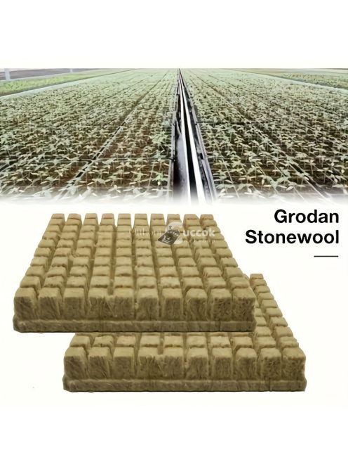 100db hidroponikus termesztőkocka