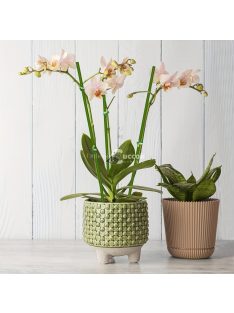 10db Zöld Hajlítható Növénytámasz Bot