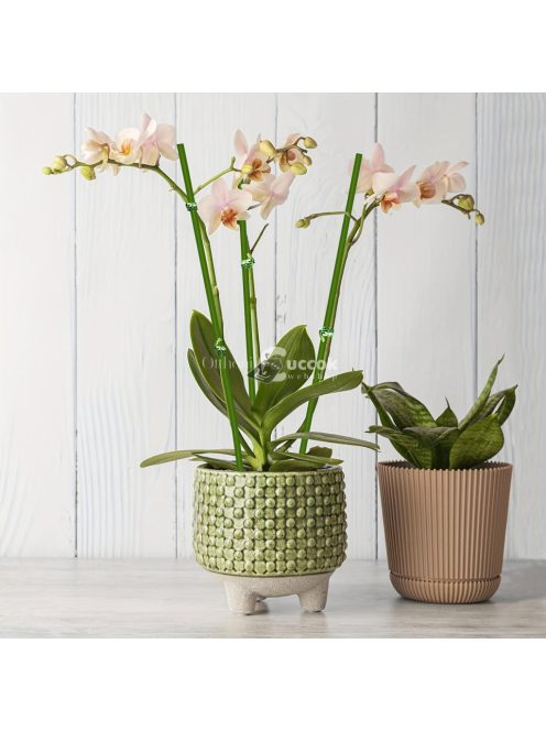 10db Zöld Hajlítható Növénytámasz Bot