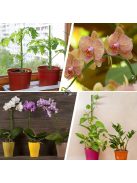 10db Zöld Hajlítható Növénytámasz Bot