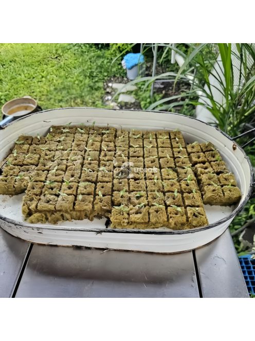 100 kiváló minőségű talaj nélküli termesztési szubsztrátum