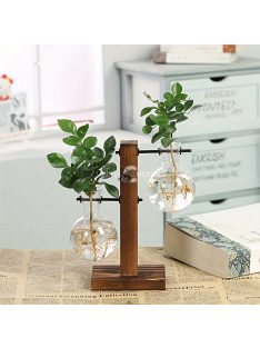 1 szett, Terrárium hidroponikus növényvázák