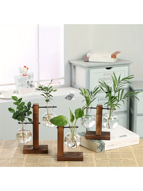 1 szett, Terrárium hidroponikus növényvázák