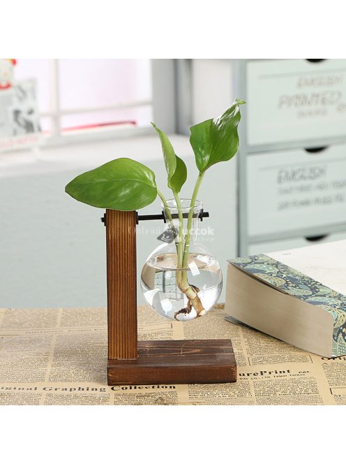 1 szett, Terrárium hidroponikus növényvázák