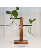 1 szett, Terrárium hidroponikus növényvázák