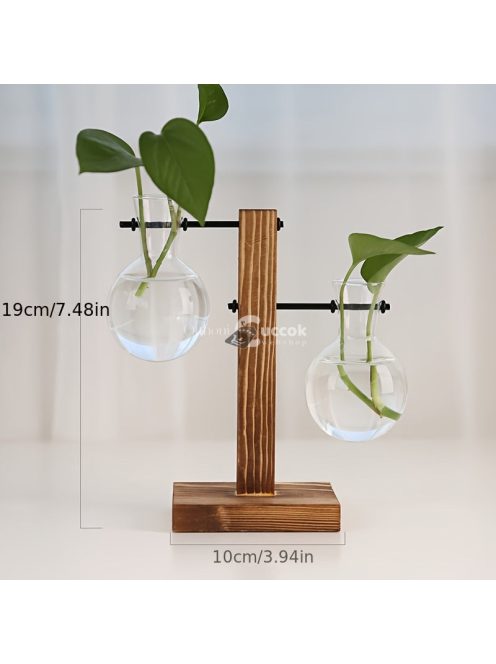 1 szett, Terrárium hidroponikus növényvázák