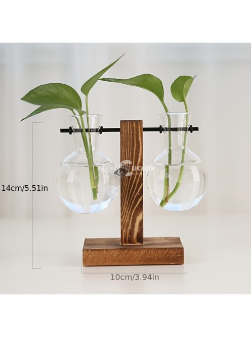 1 szett, Terrárium hidroponikus növényvázák