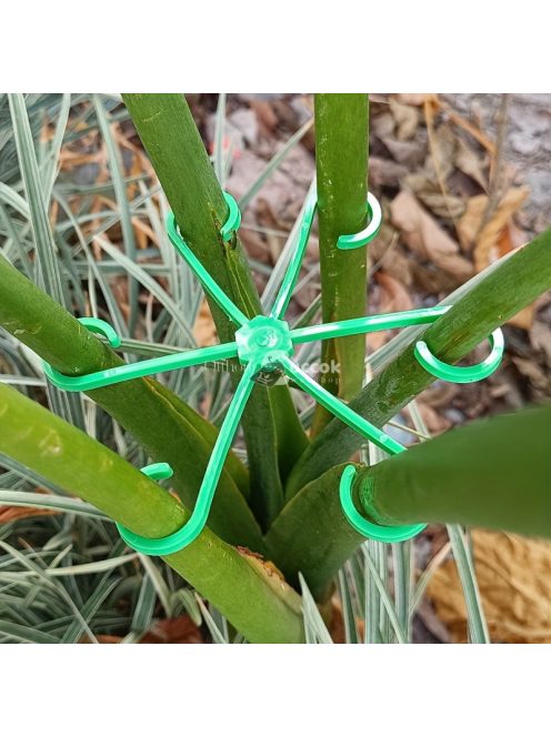 4db műanyag tartóelem növény száraihoz