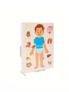 Testfelépítése ismertető fa kirakó