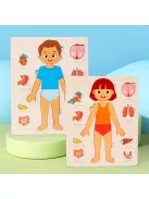 Testfelépítése ismertető fa kirakó