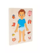 Testfelépítése ismertető fa kirakó