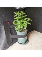 Autó Csomagtartó Rugalmas Rögzítő Pánt