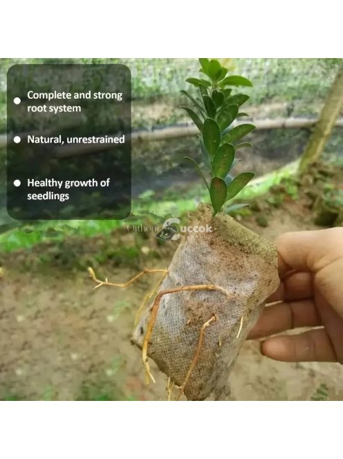 100 db 8x10 cm-es biológiailag lebomló magnevelő tasak