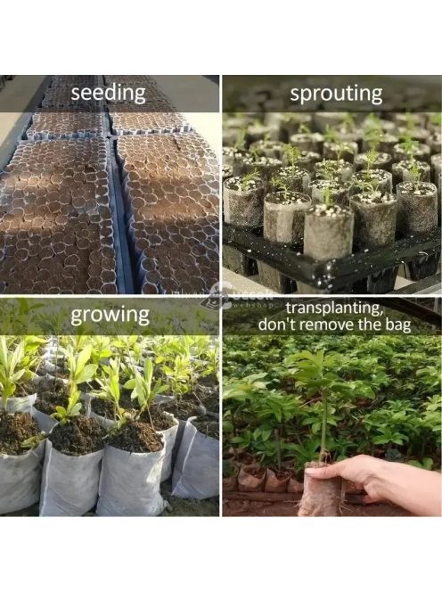 100 db 8x10 cm-es biológiailag lebomló magnevelő tasak