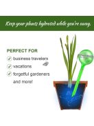 5 db automata növényöntöző gömb