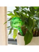 5 db automata növényöntöző gömb