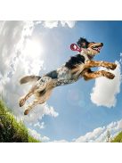 Airtag Műbőr Védőtok