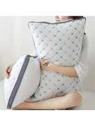 2db Luxus 3D Párna, vastagított huzattal