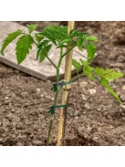 1db Zöld Kerti Zsinór