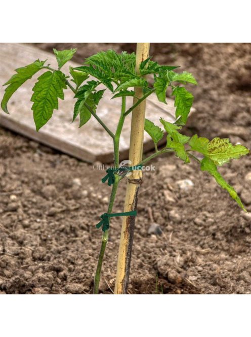 1db Zöld Kerti Zsinór