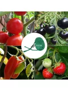 1db Zöld Kerti Zsinór