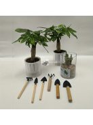 6 db-os mini kertészeti szerszámkészlet, amely alkalmas beltéri cserépültetésre