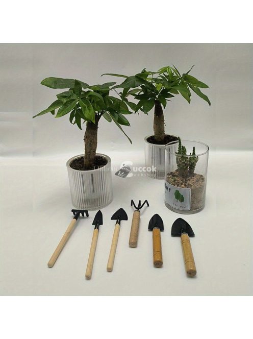 6 db-os mini kertészeti szerszámkészlet, amely alkalmas beltéri cserépültetésre