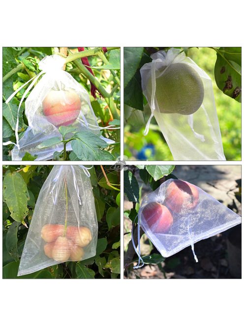 25db 20cmx30cm Gyümölcstermesztő Zsák