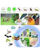 25db 20cmx30cm Gyümölcstermesztő Zsák