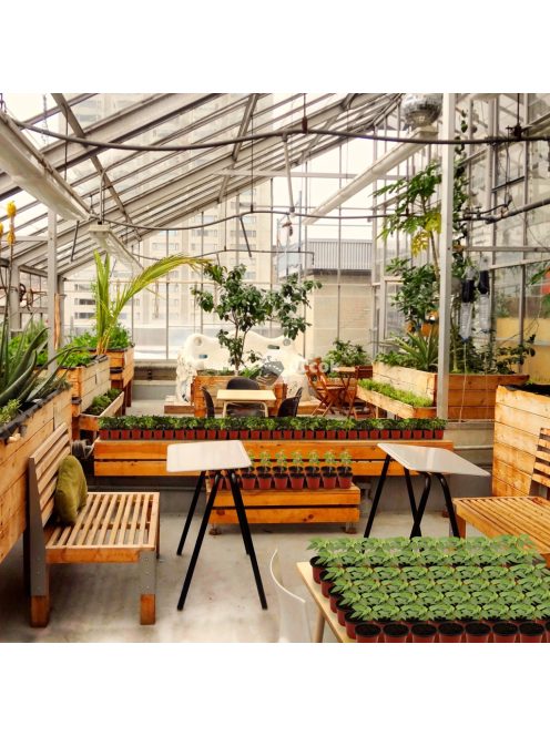 20db Cserép Páratartalom Kupolával