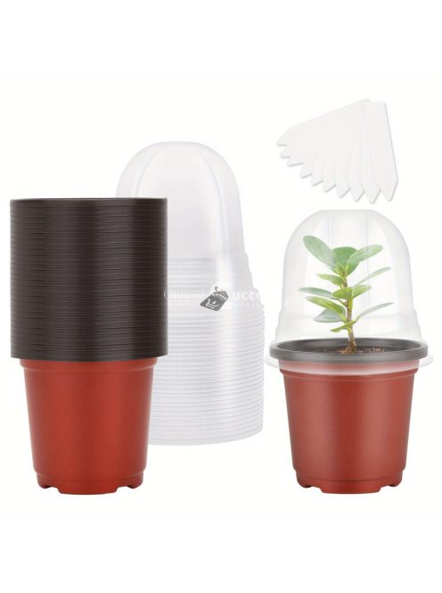 20db Cserép Páratartalom Kupolával