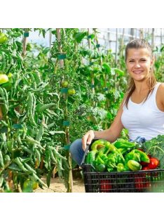   5 m-es tekercs prémium újrafelhasználható nejlon növényi kötőelem