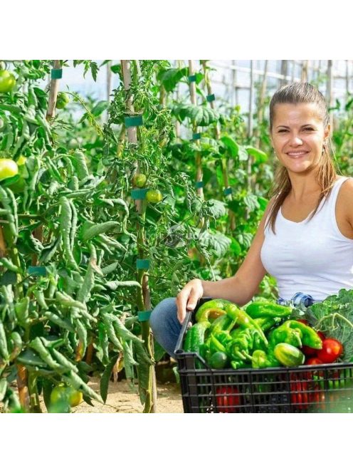 5 m-es tekercs prémium újrafelhasználható nejlon növényi kötőelem