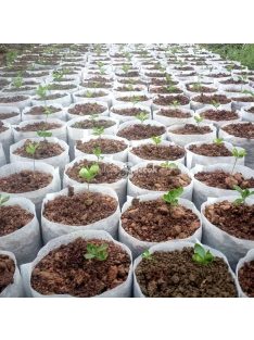 100db lebomló palánta nevelőzsák