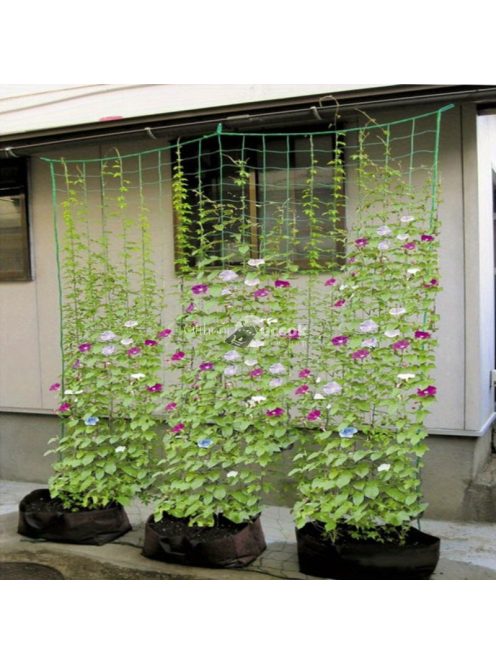 2 db gyümölcs- és zöldségszőlő háló