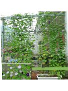 2 db gyümölcs- és zöldségszőlő háló