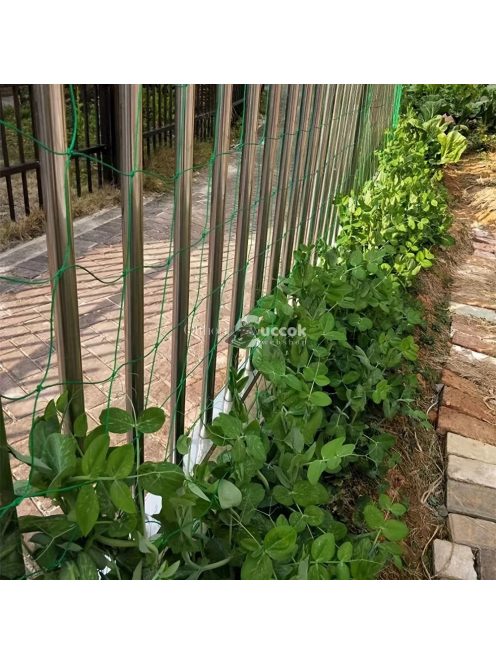 2 db gyümölcs- és zöldségszőlő háló