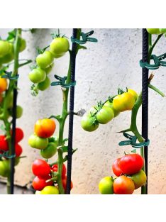 50db Állítható Növényi Kapocs