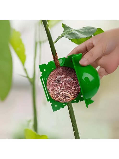 10 db műanyag növénygyökereztető labda