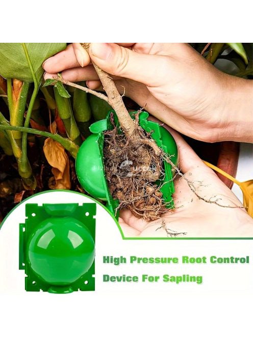 10 db műanyag növénygyökereztető labda