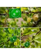 10 db műanyag növénygyökereztető labda