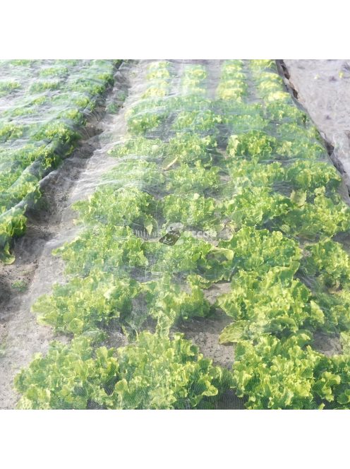 Prémium Kerti Háló