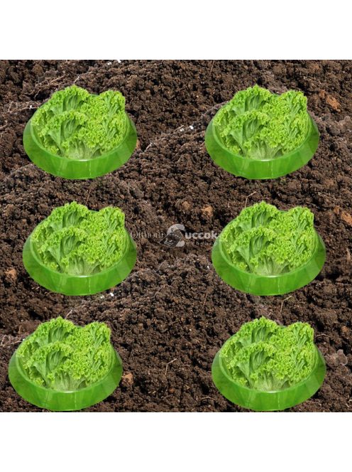 Kertészeti növényvédő gallérok csigák ellen