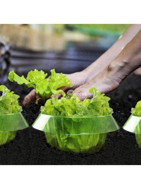 Kertészeti növényvédő gallérok csigák ellen