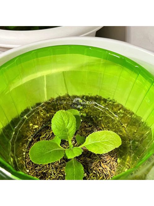 Kertészeti növényvédő gallérok csigák ellen