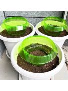 Kertészeti növényvédő gallérok csigák ellen