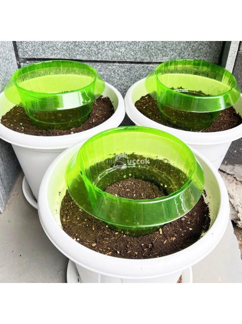 Kertészeti növényvédő gallérok csigák ellen