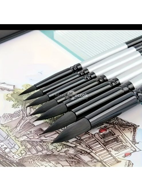 Professzionális Ecsetkészlet