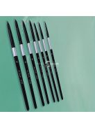 Professzionális Ecsetkészlet