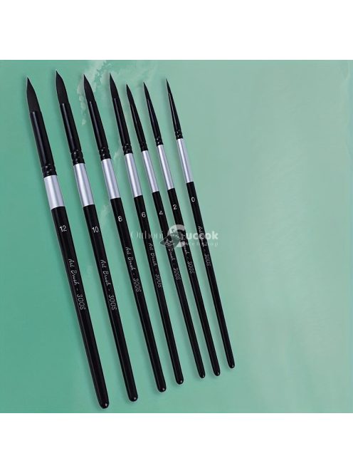 Professzionális Ecsetkészlet